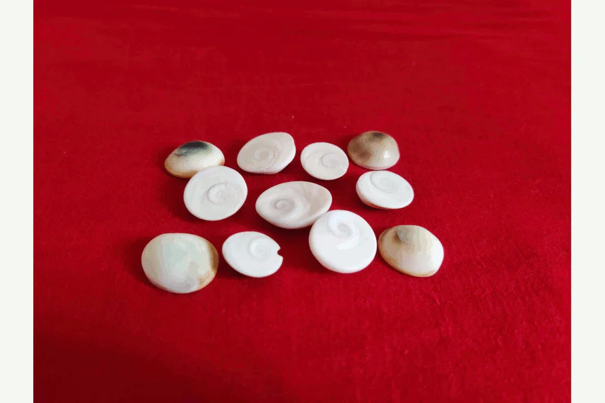 Gomti Chakra - Puja Celebrations