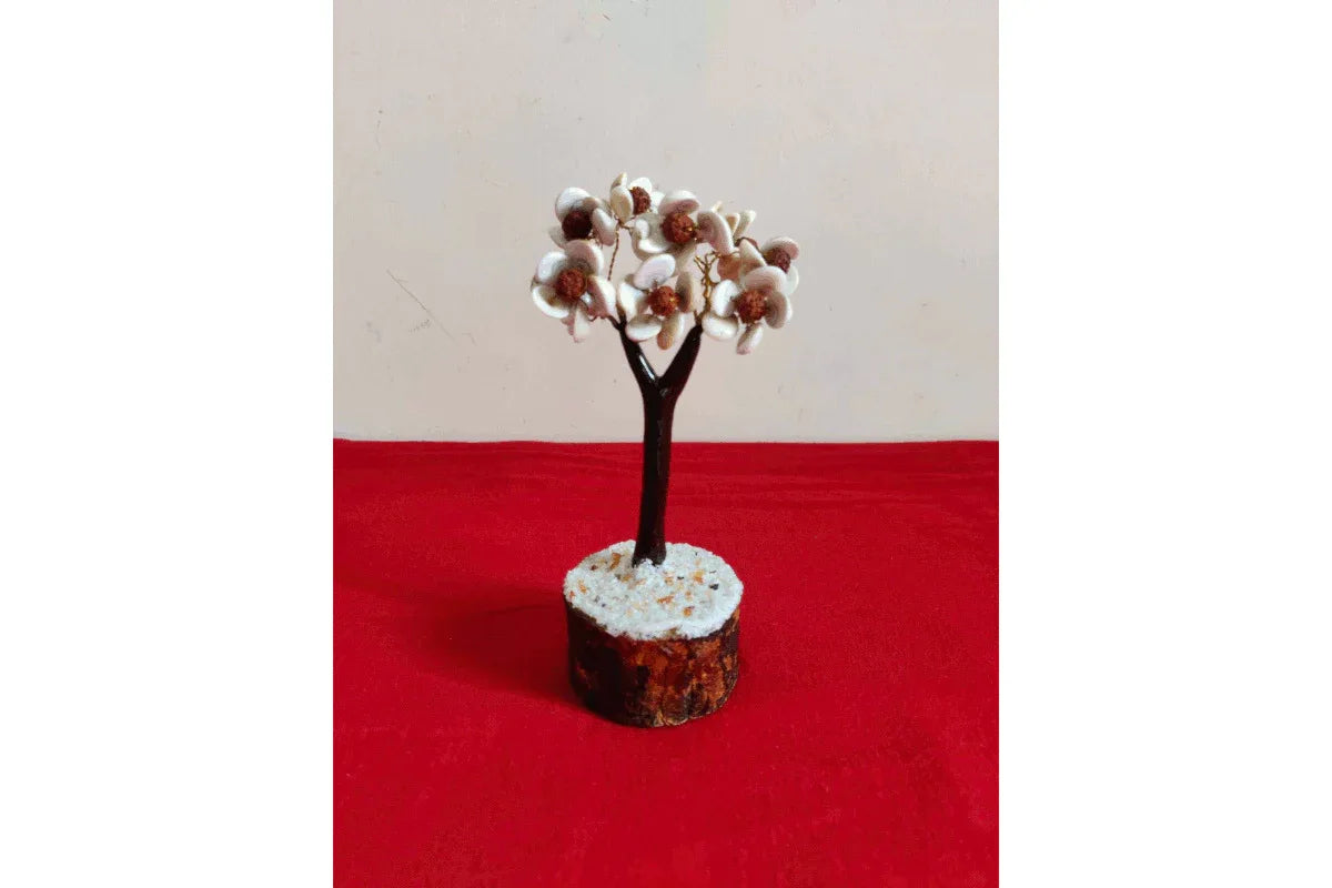 Gomathi Chakra Rudraksha Tree Small - Puja Celebrations