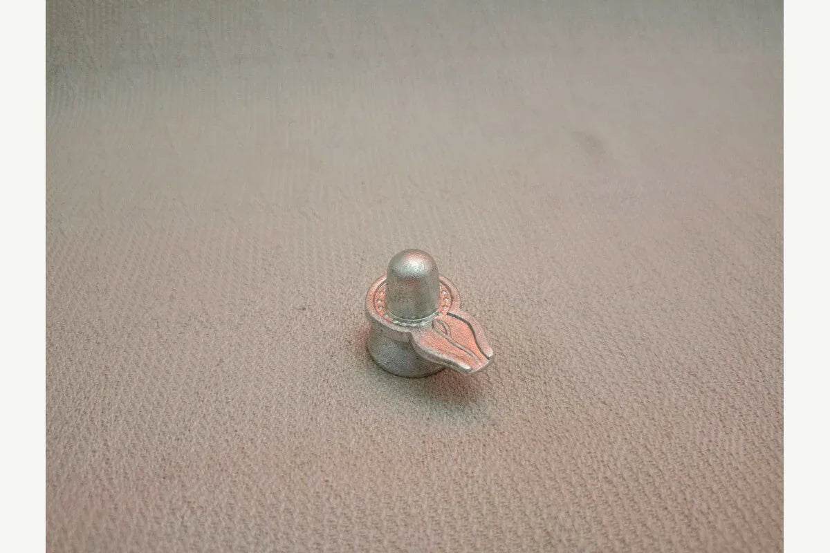 Mercury Parad Shivling - Puja Celebrations