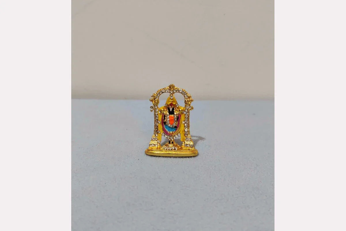 Mini Kulin Balaji - Puja Celebrations