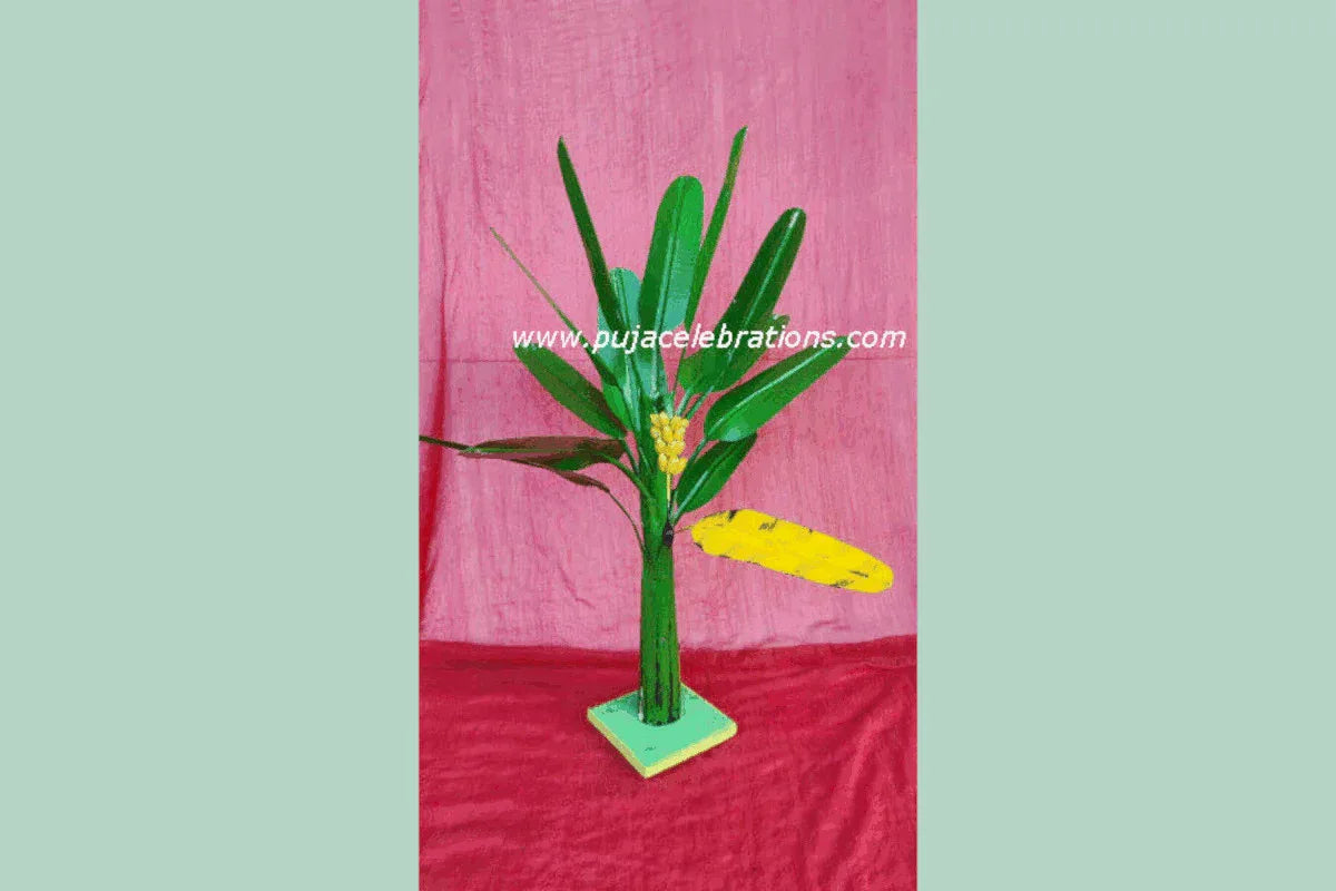 Banana Tree Vazhamaram - Puja Celebrations