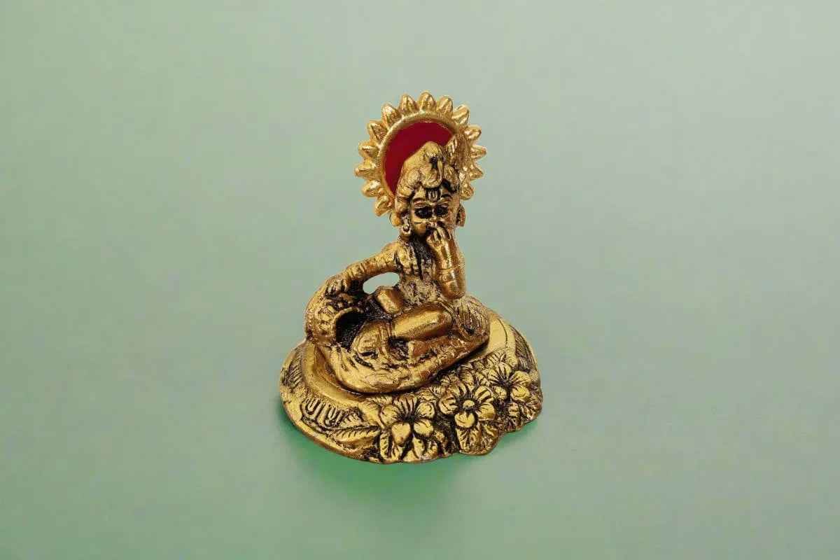 Ladoo Gopal Krishna - Puja Celebrations