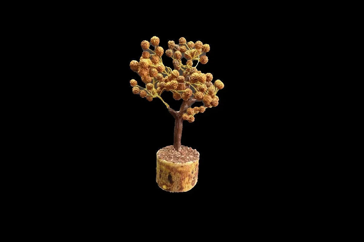 Rudraksha Tree Small - Puja Celebrations