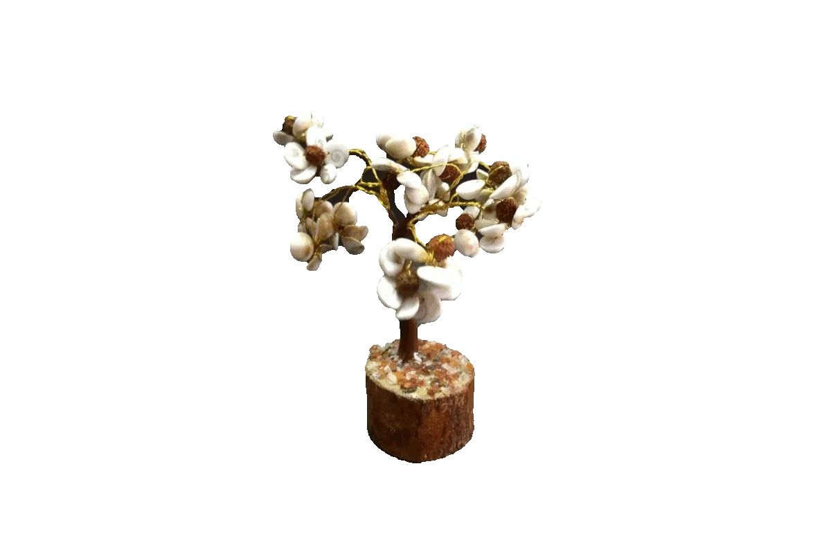 Gomathi Chakra Rudraksha Tree - Puja Celebrations