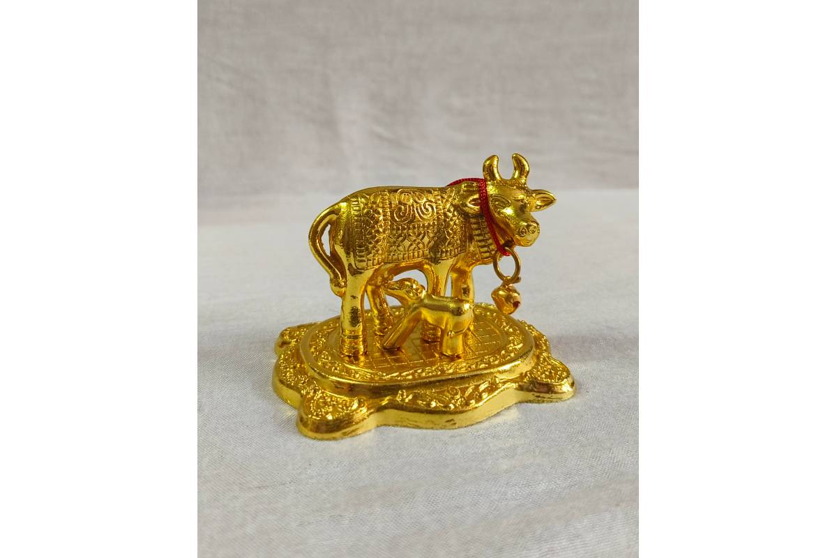 Thank you gifts for Upanayanam