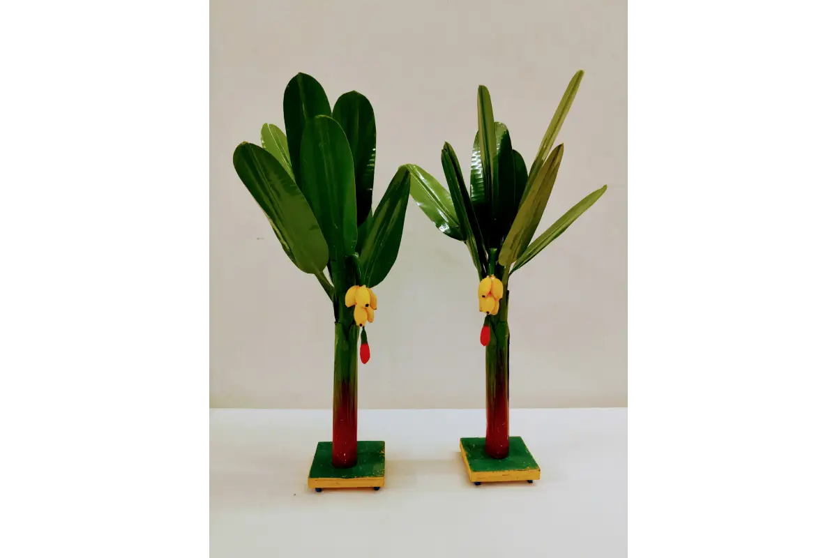 Banana Tree Vazhamaram