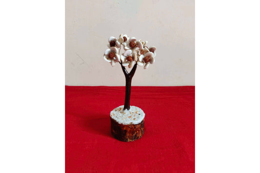 Gomathi Chakra Rudraksha Tree Small