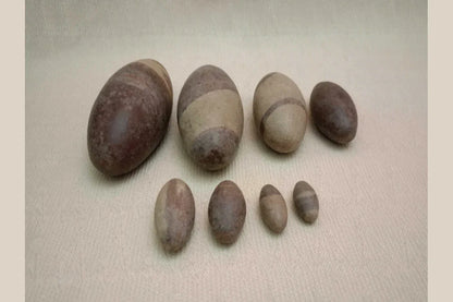 Narmada Shiva Lingam Set - Puja Celebrations