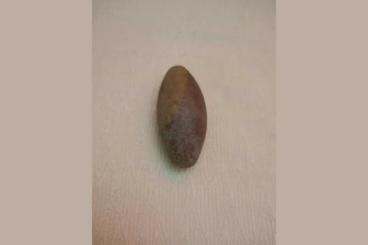 Narmada Shiva Lingam Set - Puja Celebrations