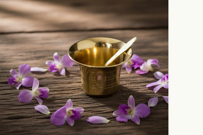 Pure brass panchapatram with udhrani ritual set