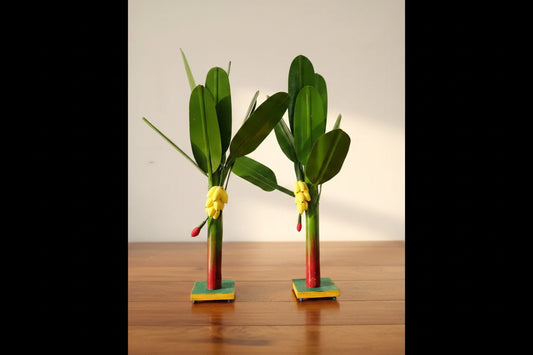 Two decorative plants with green leaves and yellow flowers on a white surface.