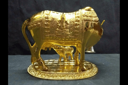 Back View of Cow and Calf Super Gold Big