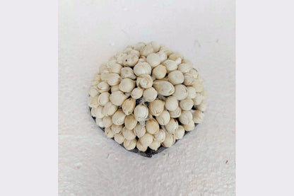 Artificial Flower Malli Veni Hair Accessory