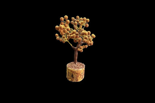Rudraksha Tree Small, Return Gifts for Pooja
